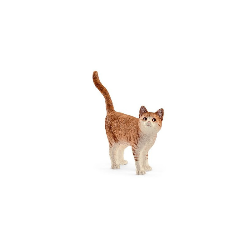 Gato