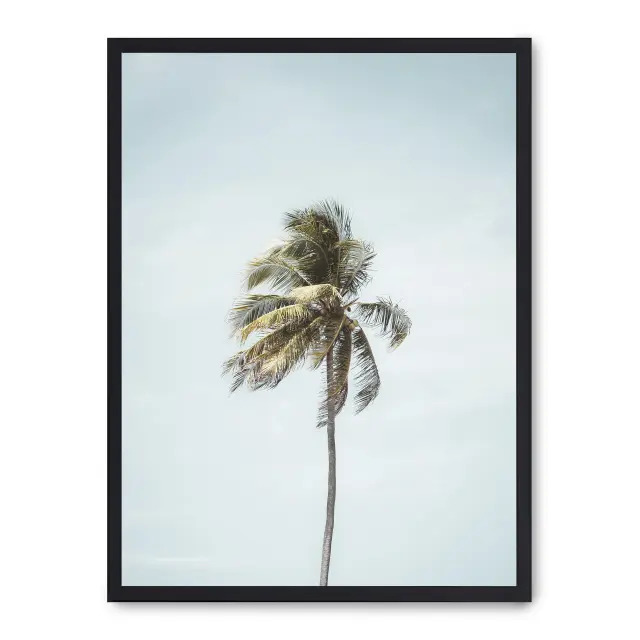 Cuadro palm beach i 30x40cm, Póster impreso en papel de primera calidad de 180gr, montado sobre marco de madera MDF acabado en negro., Botánica - Palmeras
