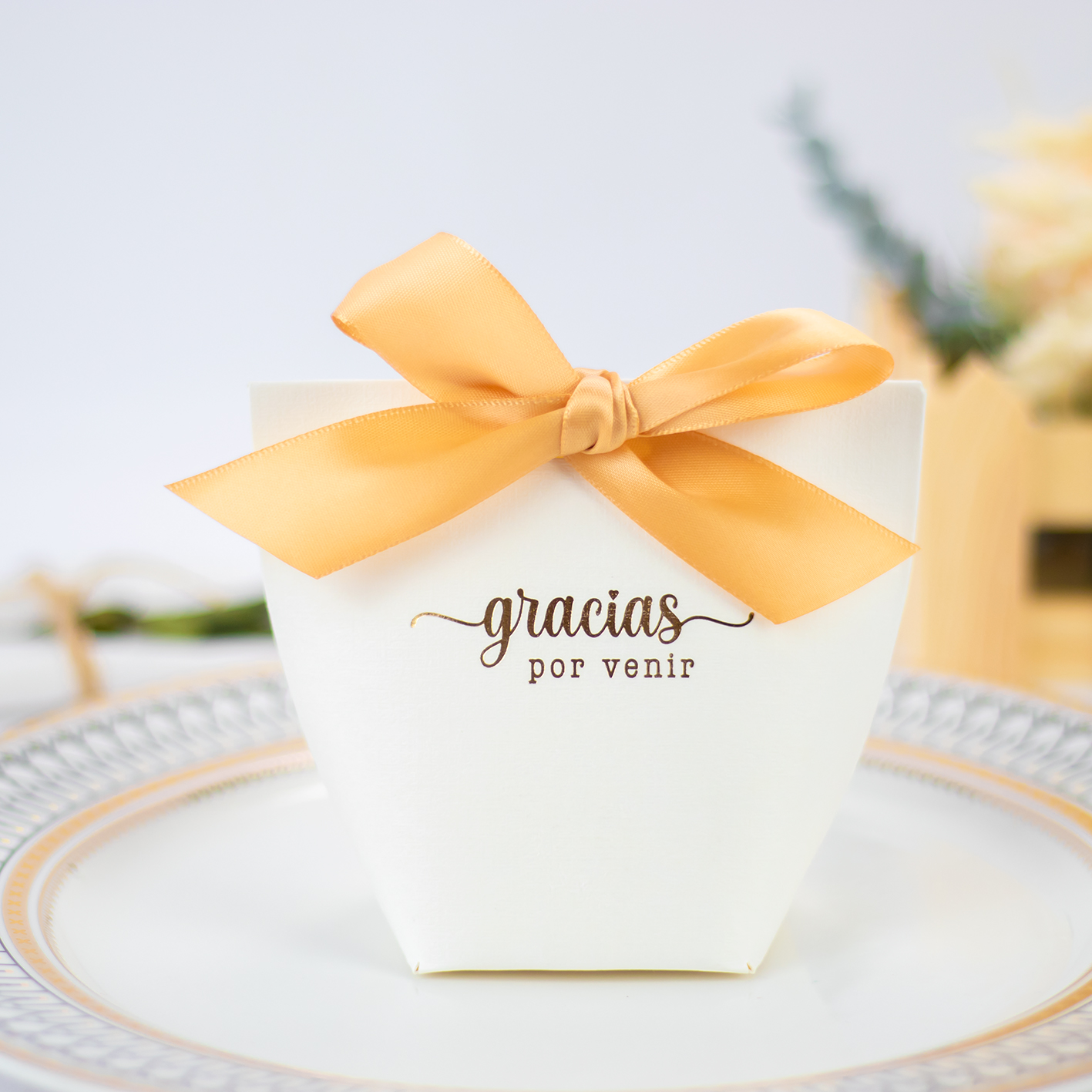Pack de 10 a 60 unidades de cajas de regalo pequeñas, cajas blancas con lazo, envoltorio regalo, detalles invitados boda y comunión, recuerdos originales para celebraciones, regalos decorativos para invitados, Regalantes.com