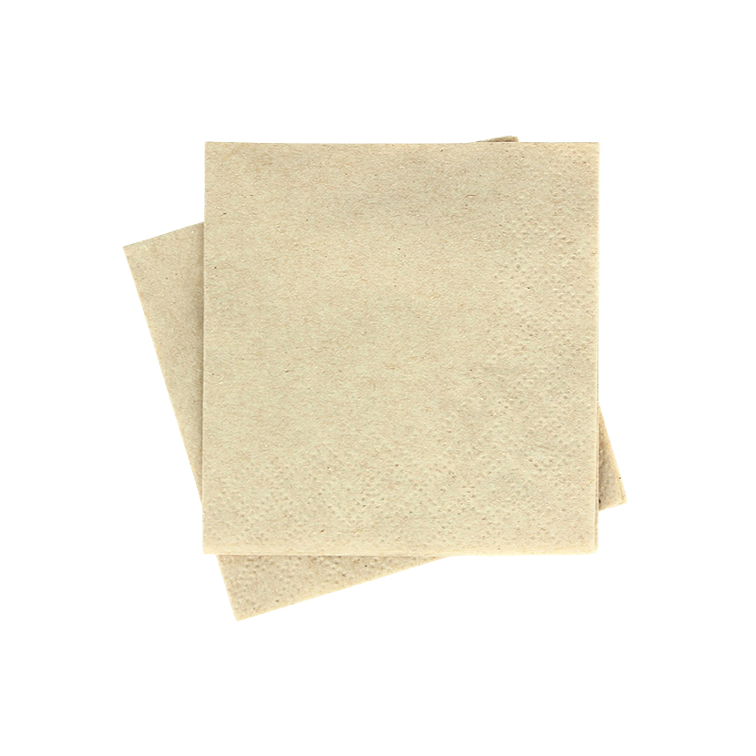6000 Uds. Servilleta 2 hojas ECO 20x20 | Ref: 3220ECO