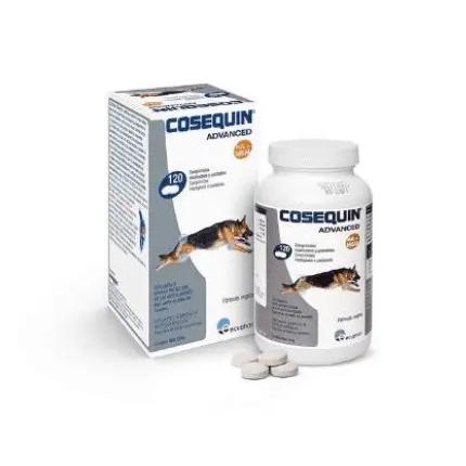 ECUPHAR AC COSEQUIN ADVANCE MSM HA 120CPD