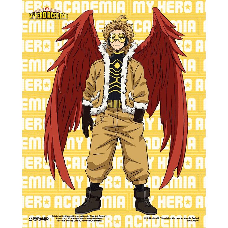 Pyramid International MY HERO ACADEMIA - POSTER 3D HAWKS