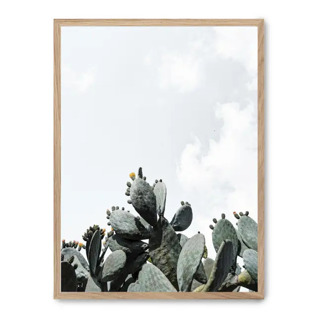 Cuadro cactus 30x40cm, Póster impreso en papel de primera calidad de 180gr, montado sobre marco de madera MDF acabado roble., Naturaleza - Desierto