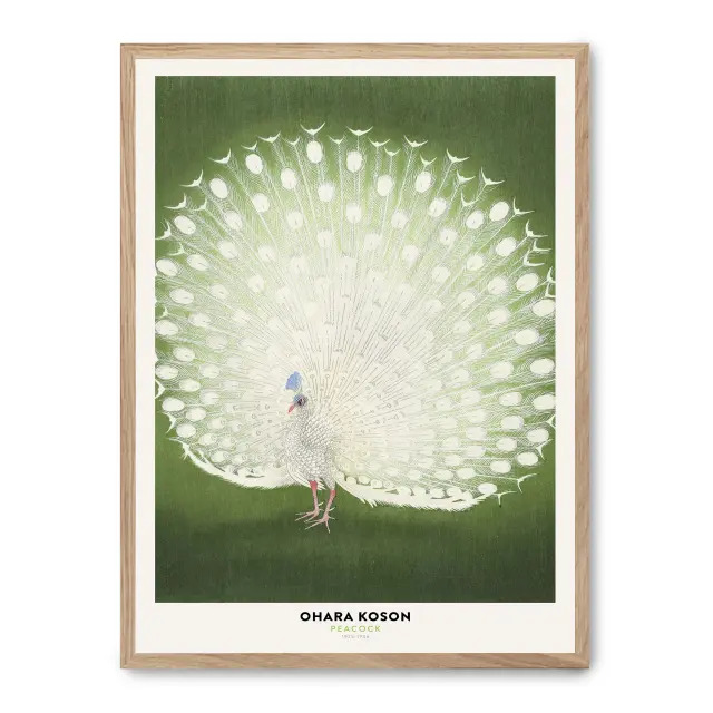Cuadro white peacock beauty 30x40cm, Póster impreso en papel de primera calidad de 180gr, montado sobre marco de madera MDF acabado roble., Arte - Japonés