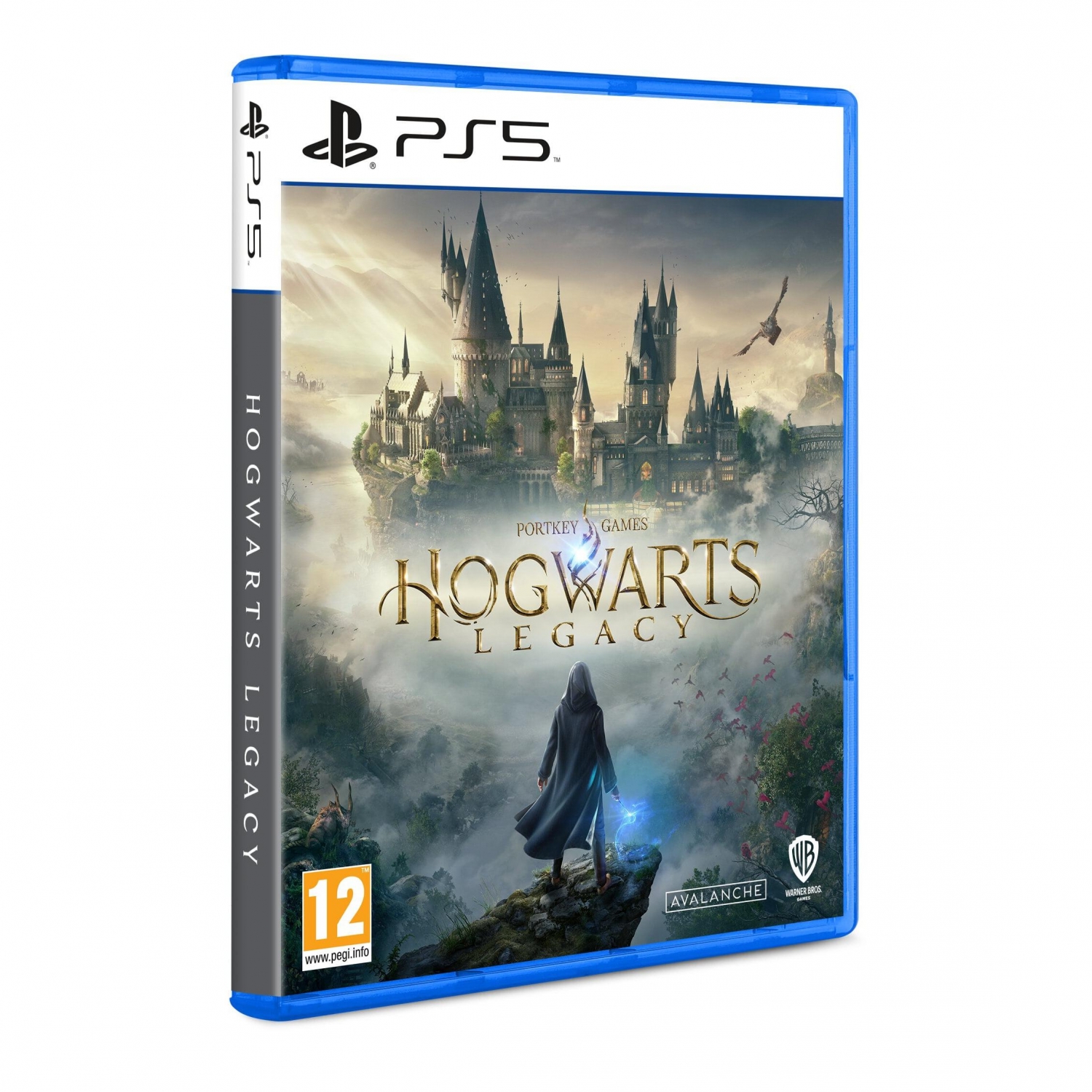 Warner Bros Interactive Spain Lego Harry Potter Collection Nintendo Switch.  Edition: Estándar + Nintendo Switch Online 12 Meses Código de descarga