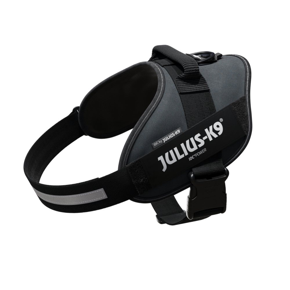 Arnés Julius K9 IDC para Perros - Diseño Ergonómico y Deportivo