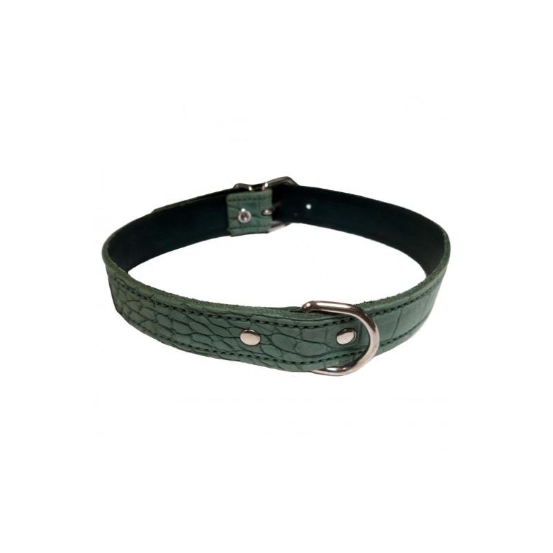 Collar Piel Labrada 30X600Mm. Verde Raza Mediana