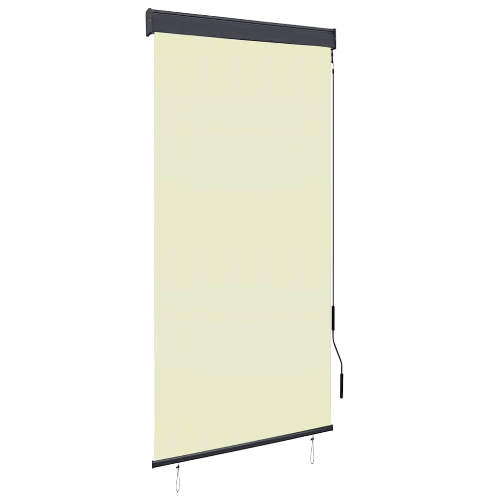 vidaXL Estor enrollable de exterior 100x250 cm