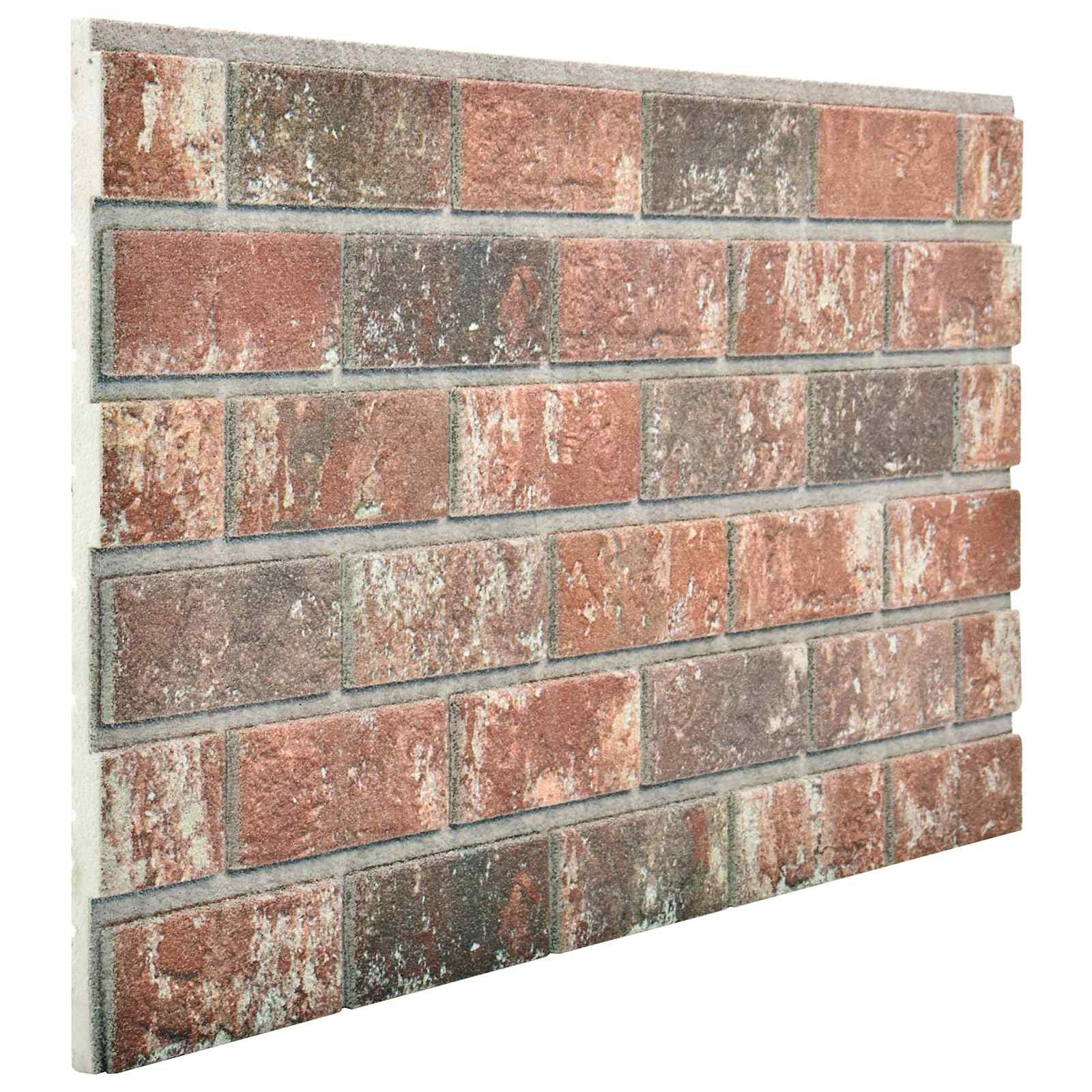 vidaXL Paneles de pared 10 pcs 100 x 50 cm Espuma EPS Multicolor