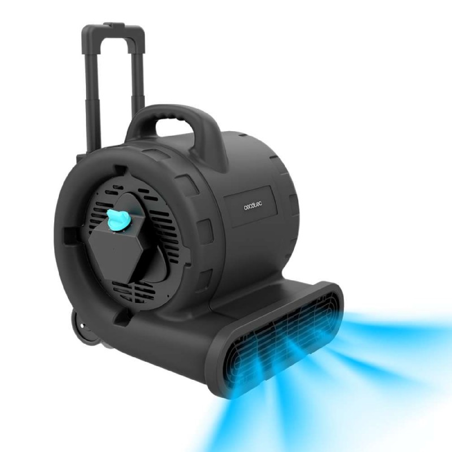 Cecotec Soplador de Suelo - Ventilador de Secado Blowindustry 6000 Flowfloor. 600W, 1350RPM, 3 Velocidades