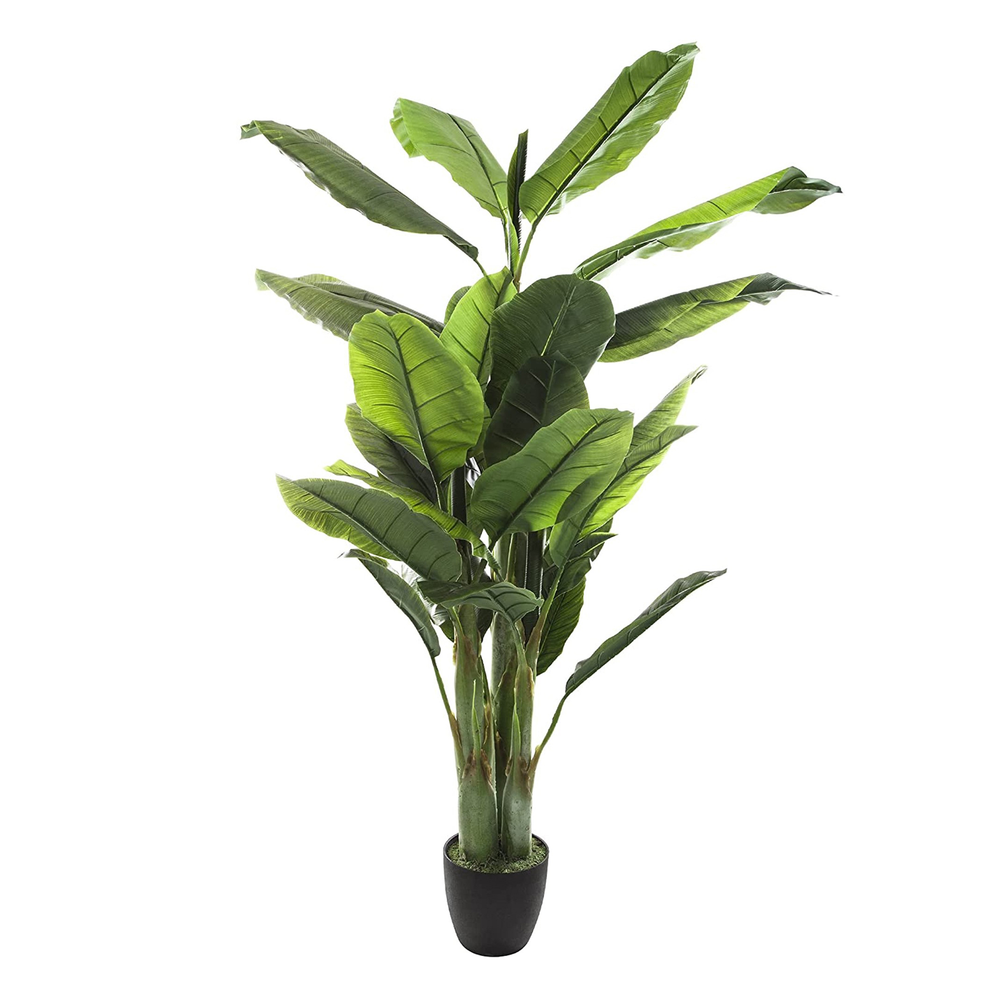 WELL HOME - Planta de Plátano Artificial Elegancia Natural sin Mantenimiento, Elegancia Perenne Sin Esfuerzo