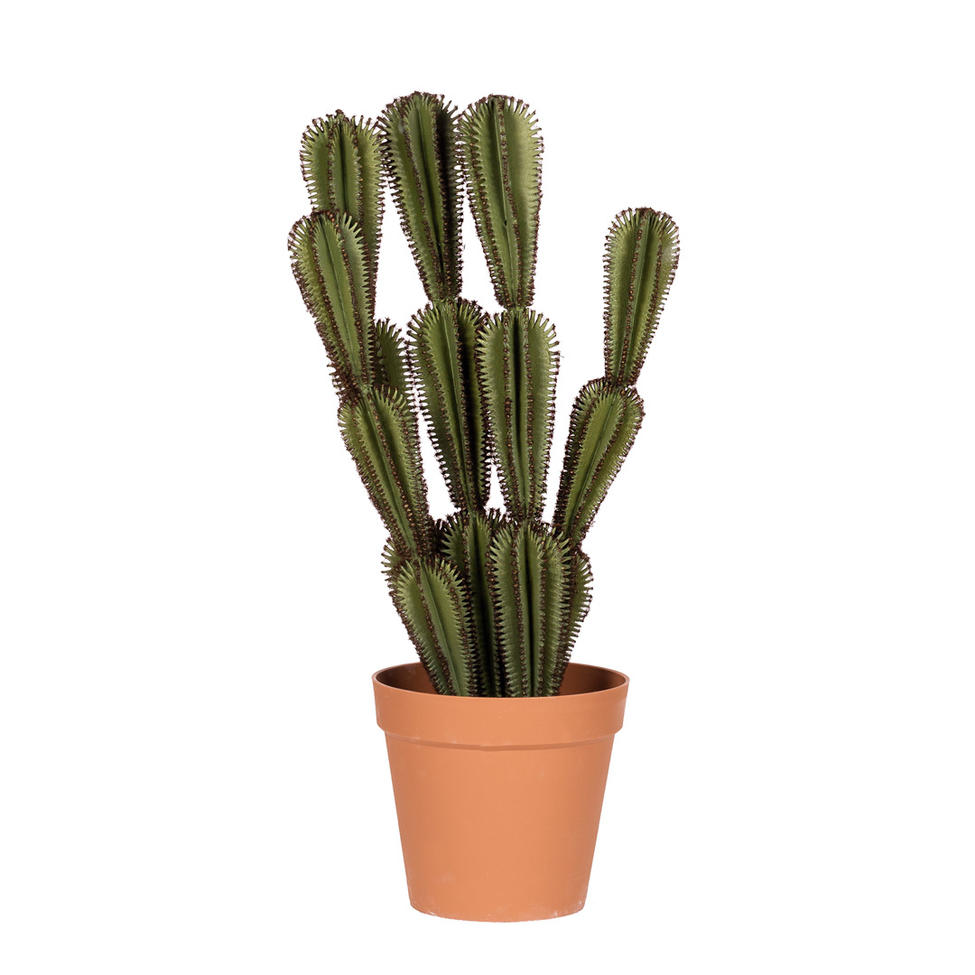 Nortene | Planta Artificial Cactus Euphorbia Suzannae 90 Cm Nortene | Ideal Para Decoración | Planta Artificial Grande Y Realista | Aporta Un Toque Natural A Tu Hogar