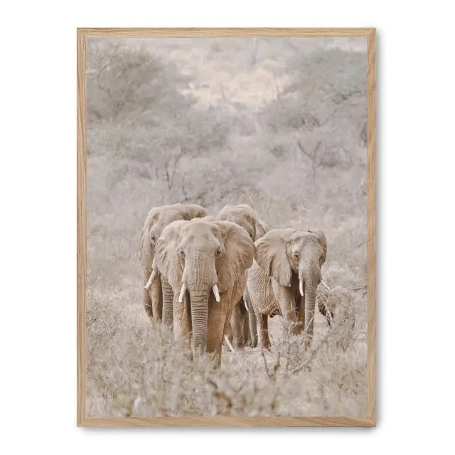 Cuadro elephant herd i 30x40cm, Póster impreso en papel de primera calidad de 180gr, montado sobre marco de madera MDF acabado roble., Naturaleza - Safari