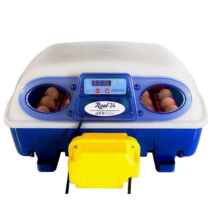 SUINGA Incubadora Automática 24 huevos de perdiz, codorniz o cualquier ave, tecnologia avanzada en la ciencia de la incubación