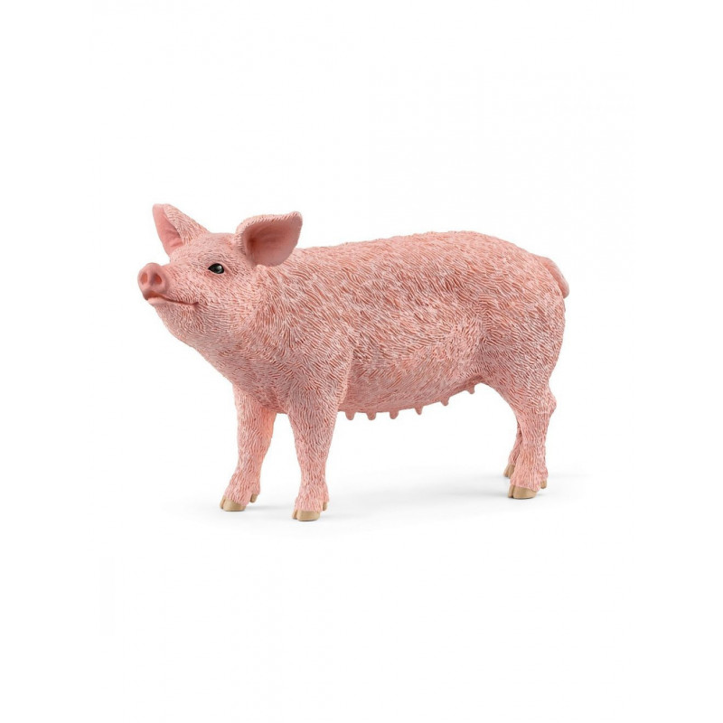Cerdo