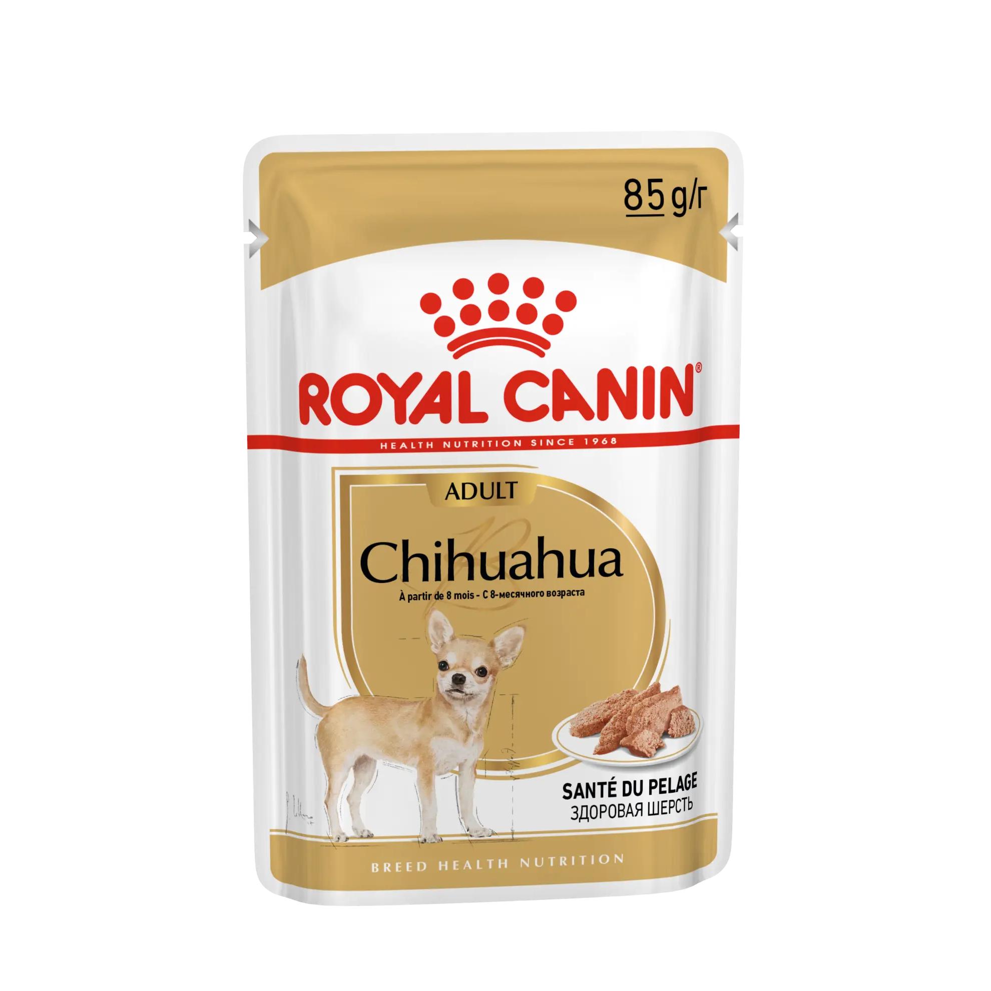 Royal Canin Chihuahua Adult 12 x 85 gr