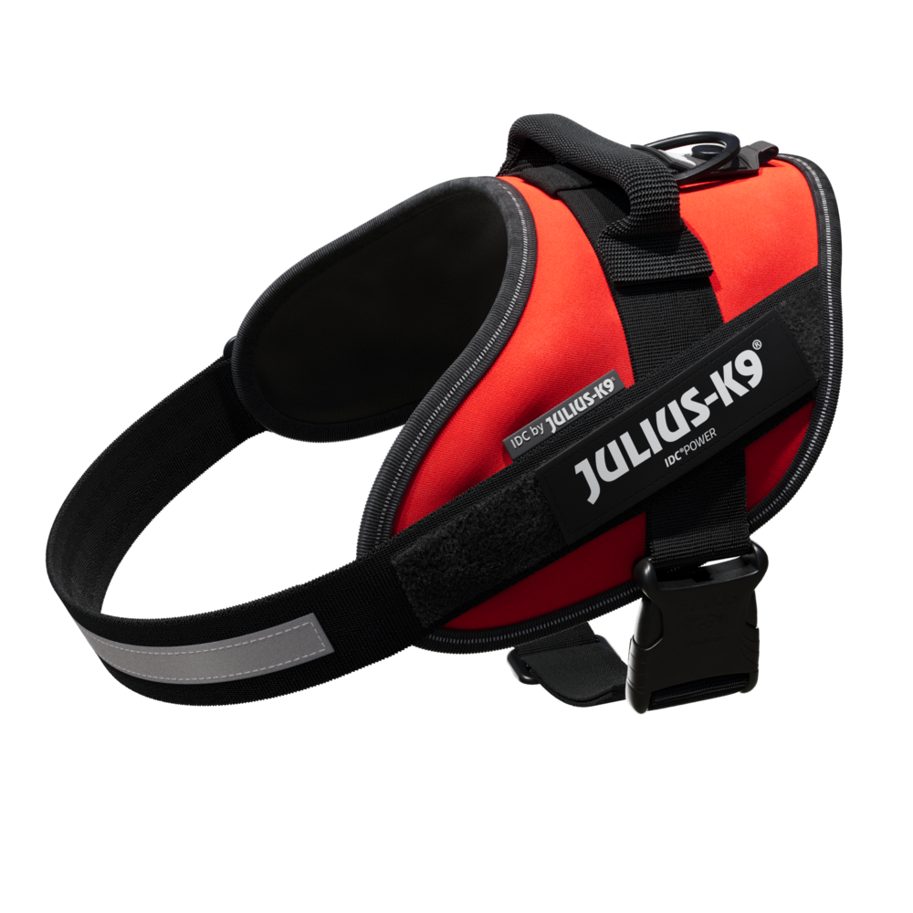 Arnés Julius K9 IDC para Perros - Diseño Ergonómico y Deportivo
