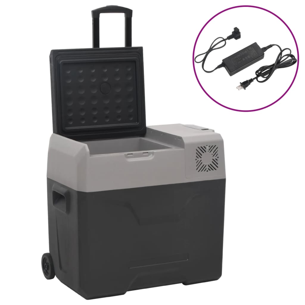 vidaXL Nevera con ruedas y adaptador polipropileno negro y gris Capacidad 30 L, 40 L, 50 L