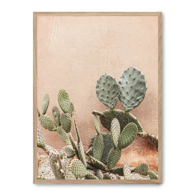 Cuadro cactus terracotta background ii 30x40cm, Póster impreso en papel de primera calidad de 180gr, montado sobre marco de madera MDF acabado roble., Botánica - Naturaleza - Playantas