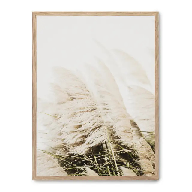 Cuadro pampas iv 30x40cm, Póster impreso en papel de primera calidad de 180gr, montado sobre marco de madera MDF acabado roble., Botánica - Naturaleza - Playantas
