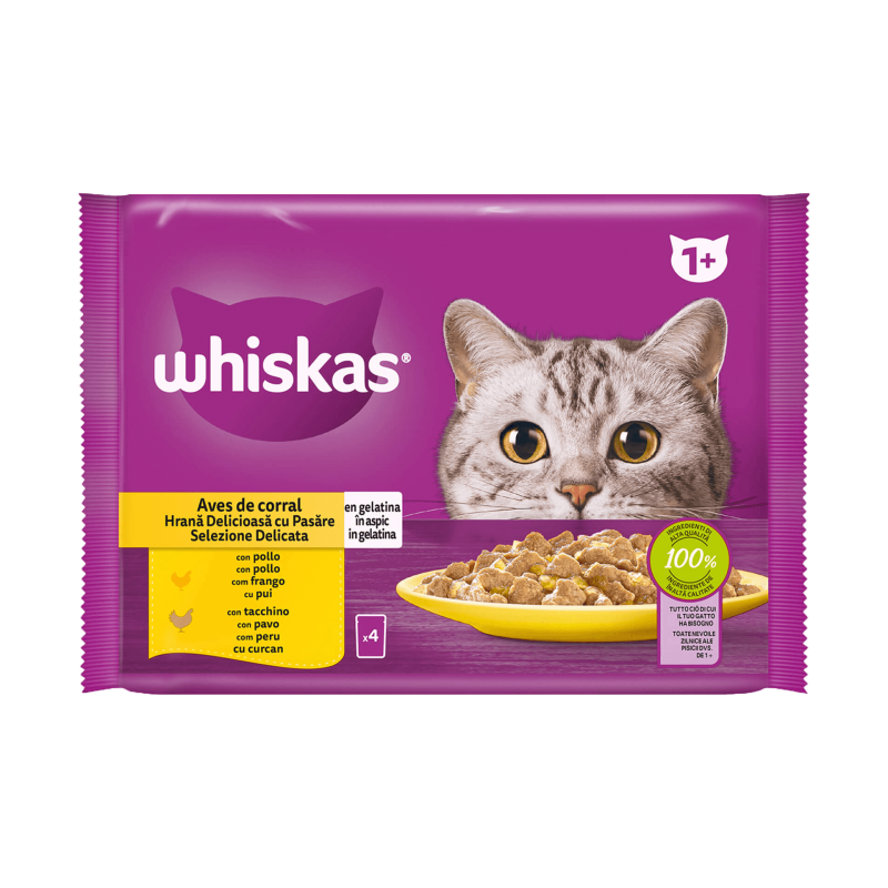 Whiskas 1+ Selección de Aves Gelatina para Gatos 4x85g