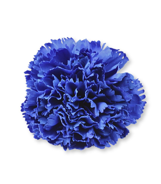 CLAVEL DE TELA - Ø12CM
