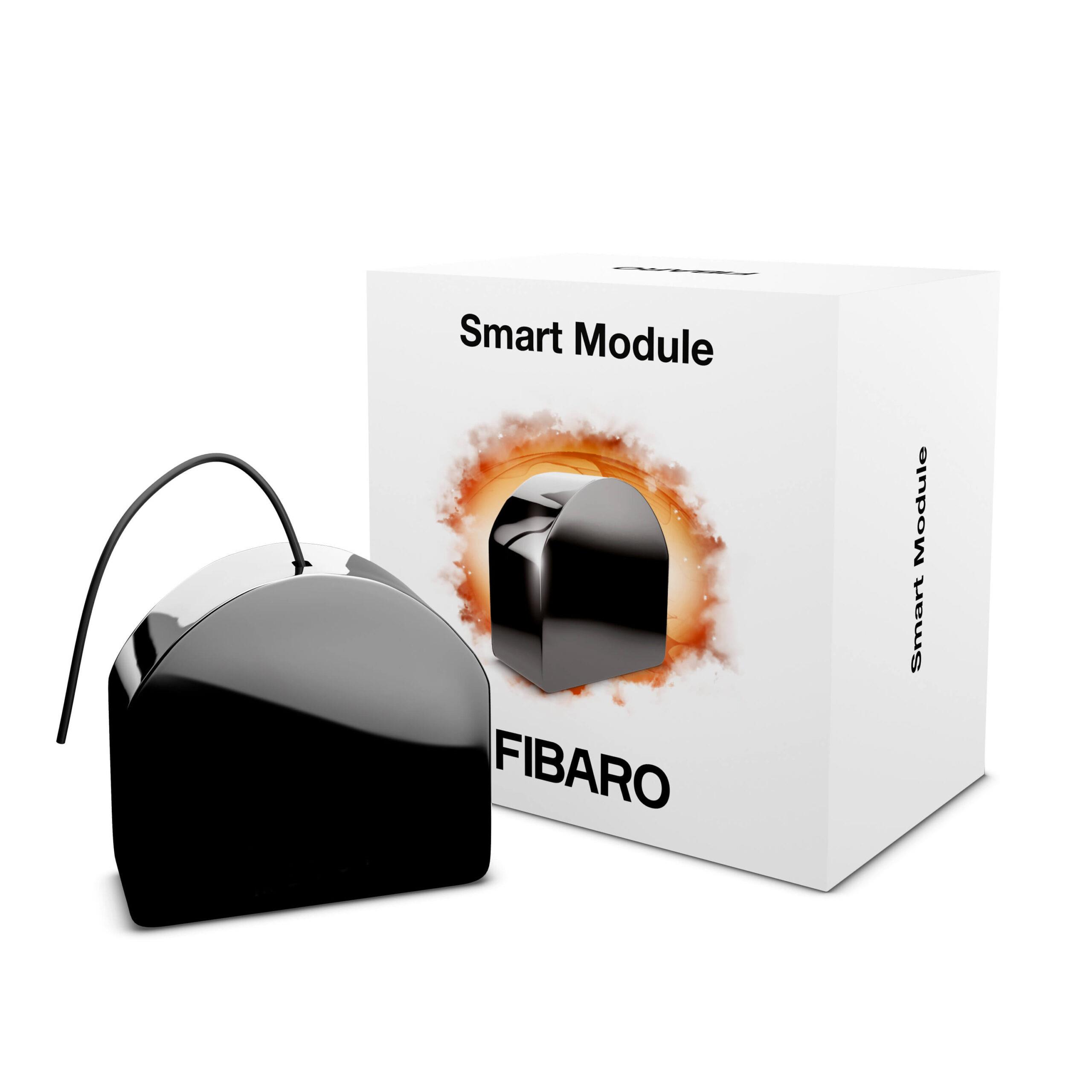 FIBARO FGS-214 Single Smart Module/Z-Wave Plus - Smart Switch para un Dispositivo, Negro