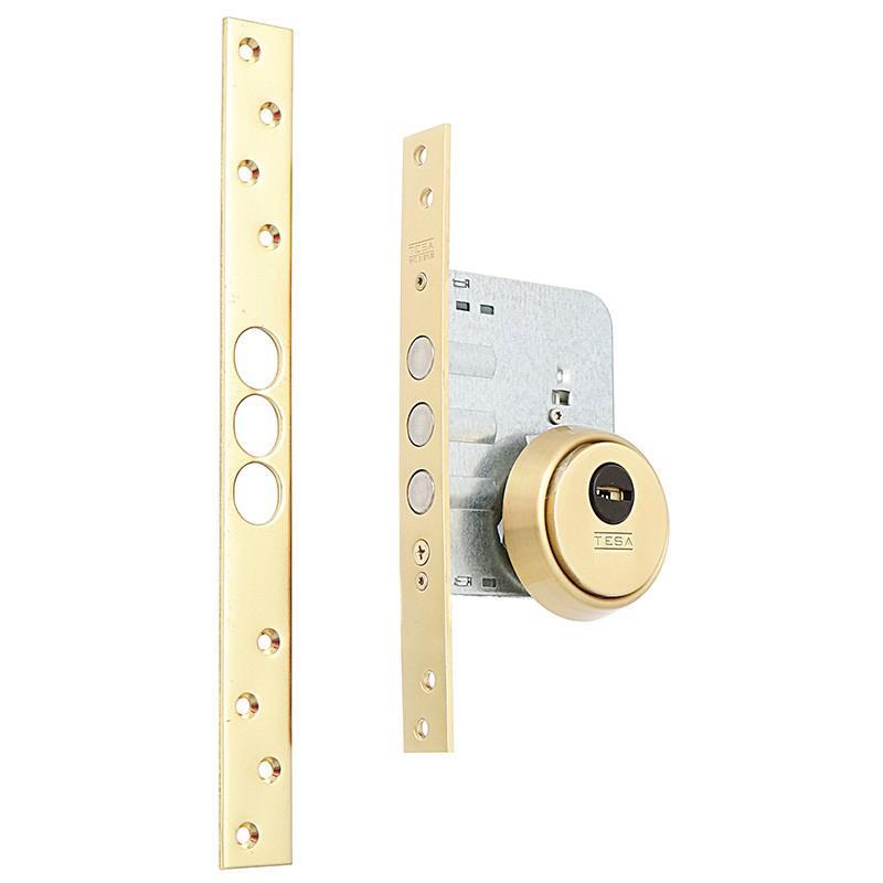 Cerradura emb.bulones tesa r201b566l c/recto, dorada, esc/cerrado