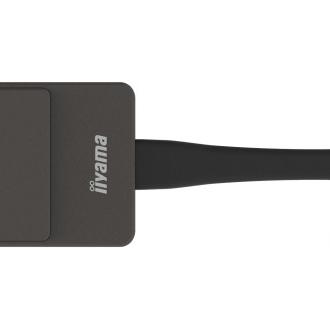 iiyama WP D002C adaptador Smart TV USB 4K Ultra HD Negro, Plata
