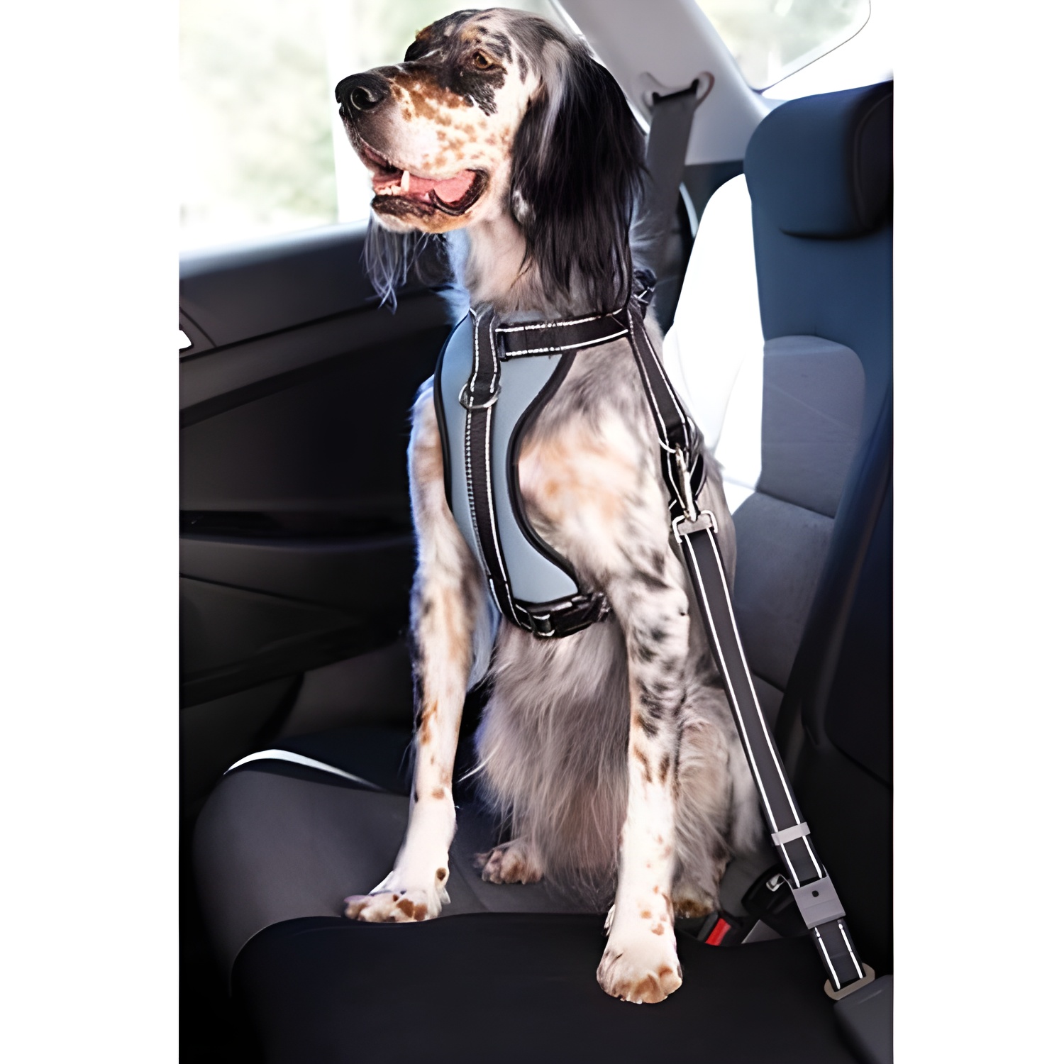 Ibañez Arnés Coche Ibáñez Dogway con Cinturón Seguridad para Perros TALLA XL