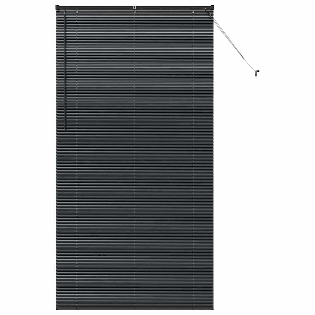 vidaXL Persianas venecianas Manual Negro 220 x 110 cm Aluminio