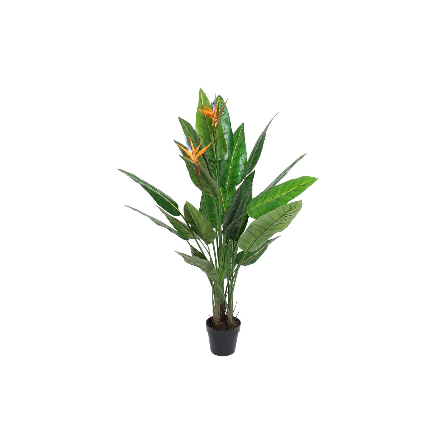 Planta Pvc 100X100X145 Strelitzia El mejor complemento para tu hogar  -Fijalo-