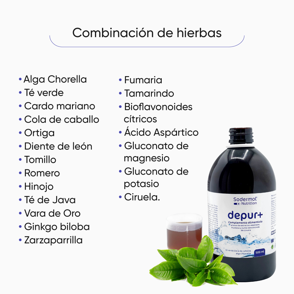 infusión depurativa con cardo mariano, cola de caballo, cúrcuma y diente de  león