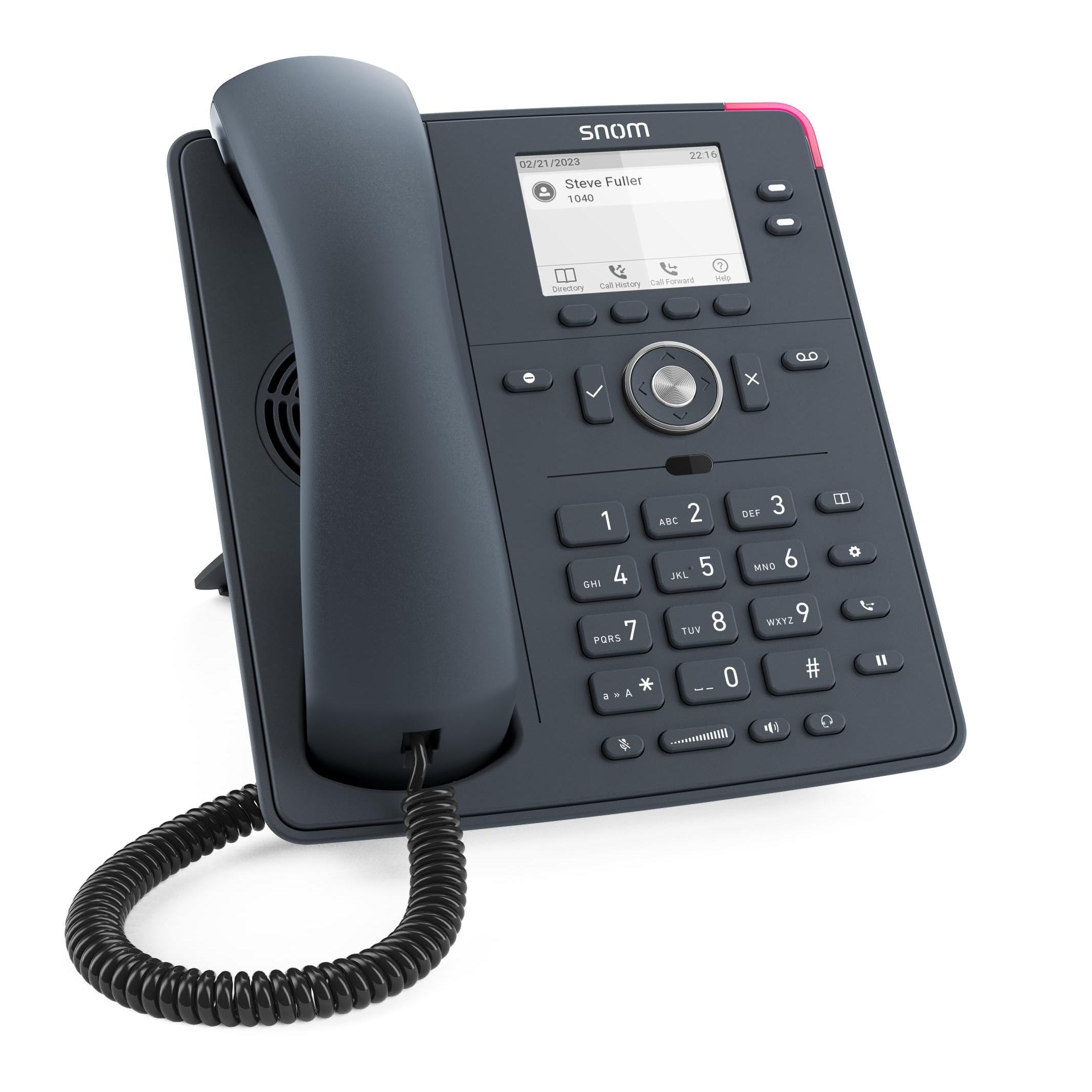 Snom D140 teléfono IP Gris 2 líneas TFT