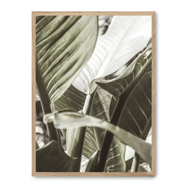 Cuadro details of banana leaves ii 30x40cm, Póster impreso en papel de primera calidad de 180gr, montado sobre marco de madera MDF acabado roble., Botánica - Naturaleza - Playantas