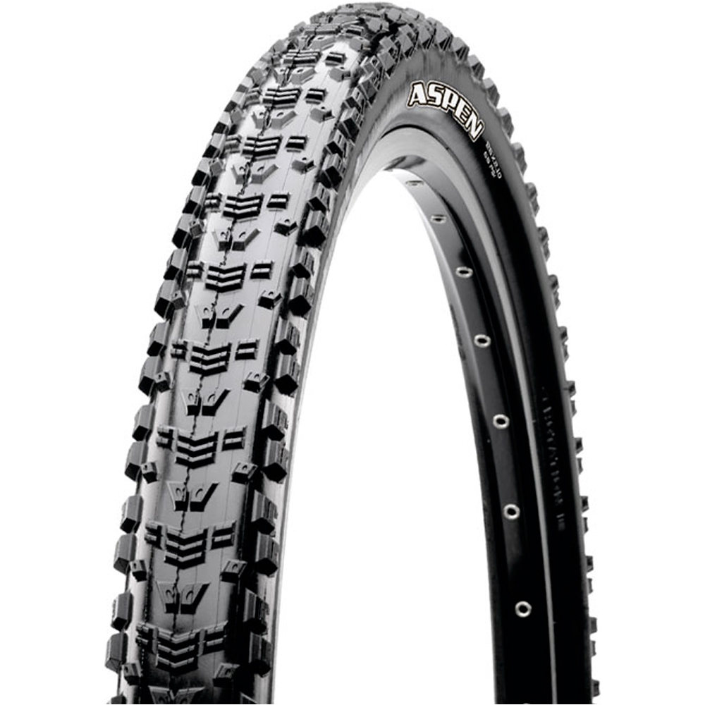 ASPEN MOUNTAIN 9X.10 10 FOLD EXO/TR