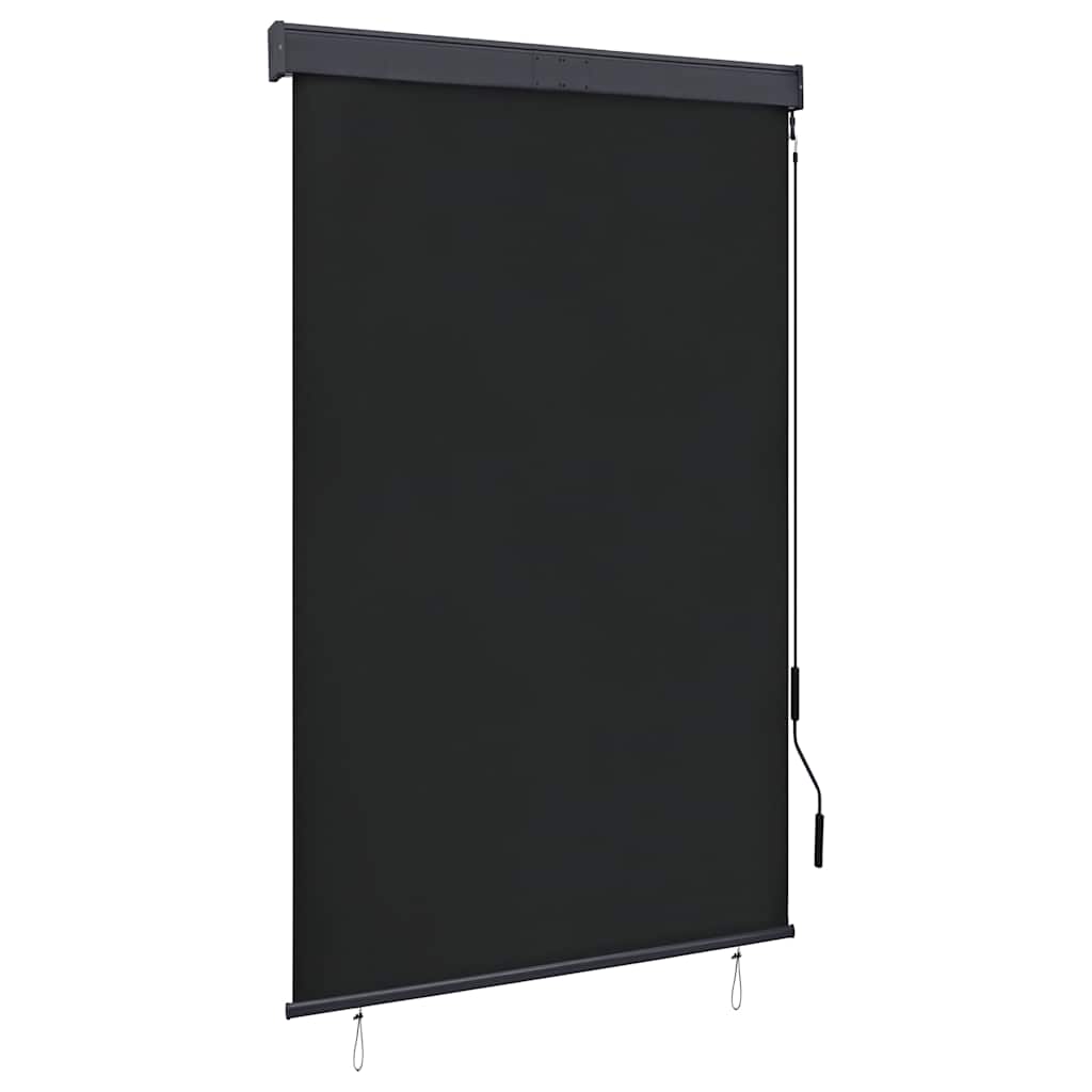 vidaXL Estor enrollable de exterior 120x250 cm