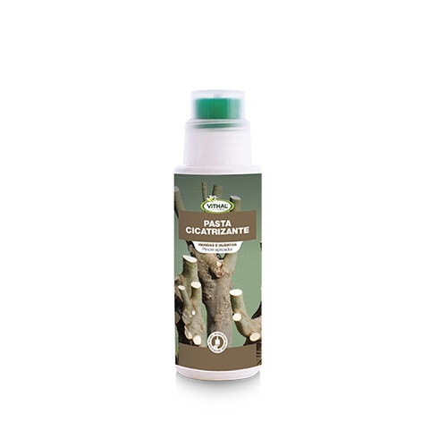 VITHAL GARDEN Pasta Cicatrizante para Poda e Injertos con Pincel 250 ml