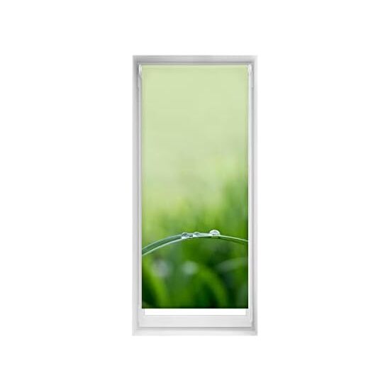 BLINDECOR  Estor Estampado EasyFix - Estores Enrollables Elegantes y Prácticos - Estor para Ventana con Diseño Único