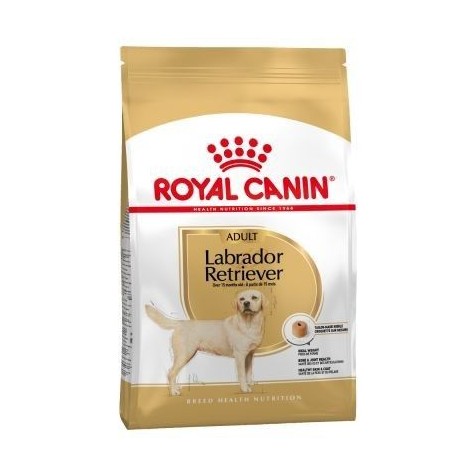 Royal Canin Adulto Labrador Retriever 3 Kg