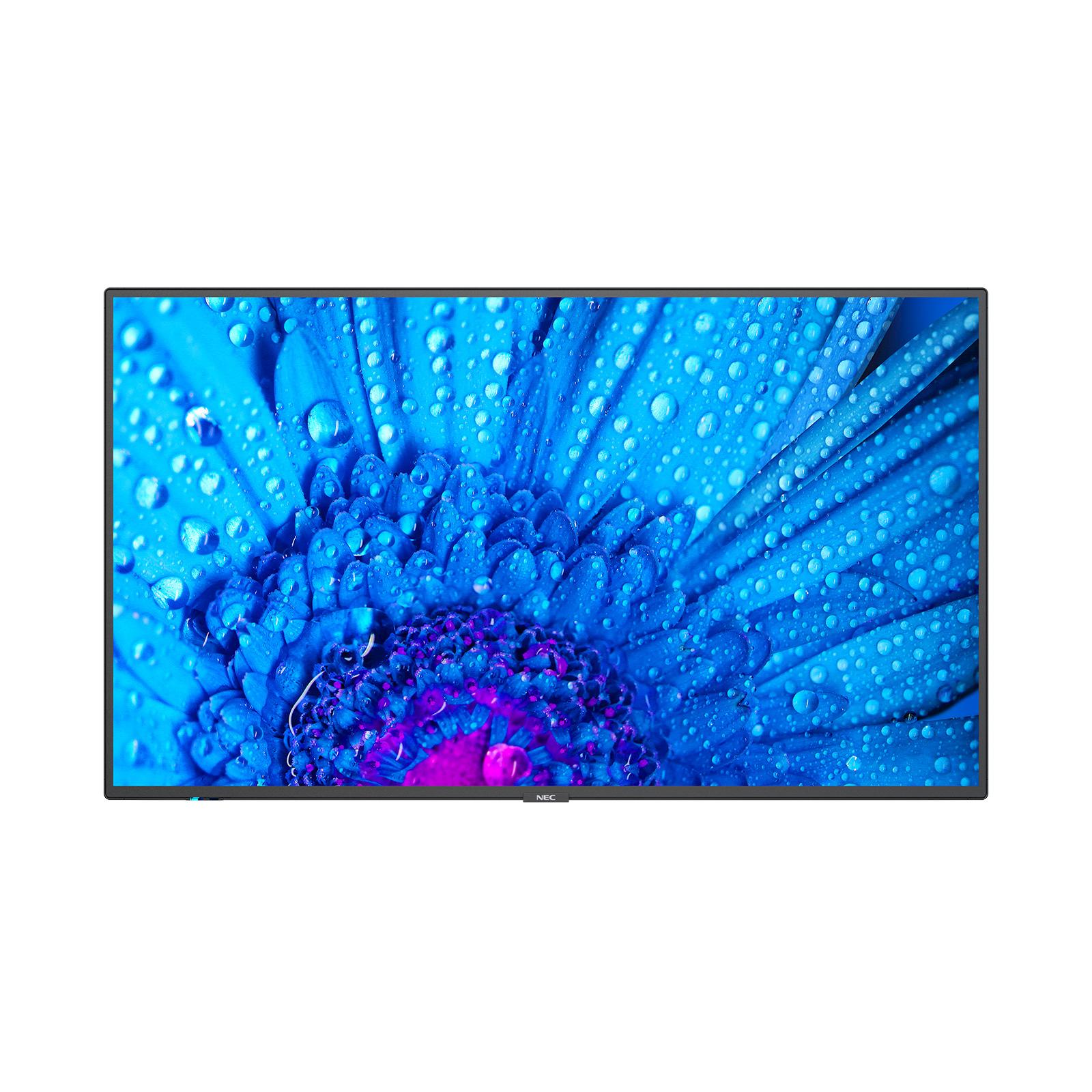 NEC Multisync - M651 M SERIES - 65"- Pantalla LCD - Retroiluminación LED - 4K