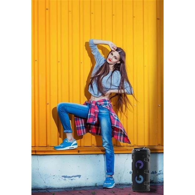 Elbe - Altavoz Bluetooth ALT88TWS de 10 W RMS con batería recargable de 1200 mAh, radio FM y entrada para micrófono, negro