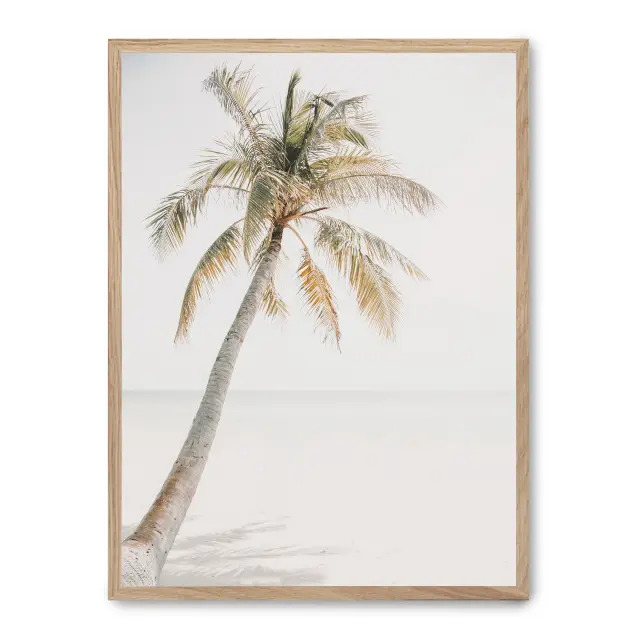 Cuadro palm beach iii 30x40cm, Póster impreso en papel de primera calidad de 180gr, montado sobre marco de madera MDF acabado roble., Botánica - Palmeras