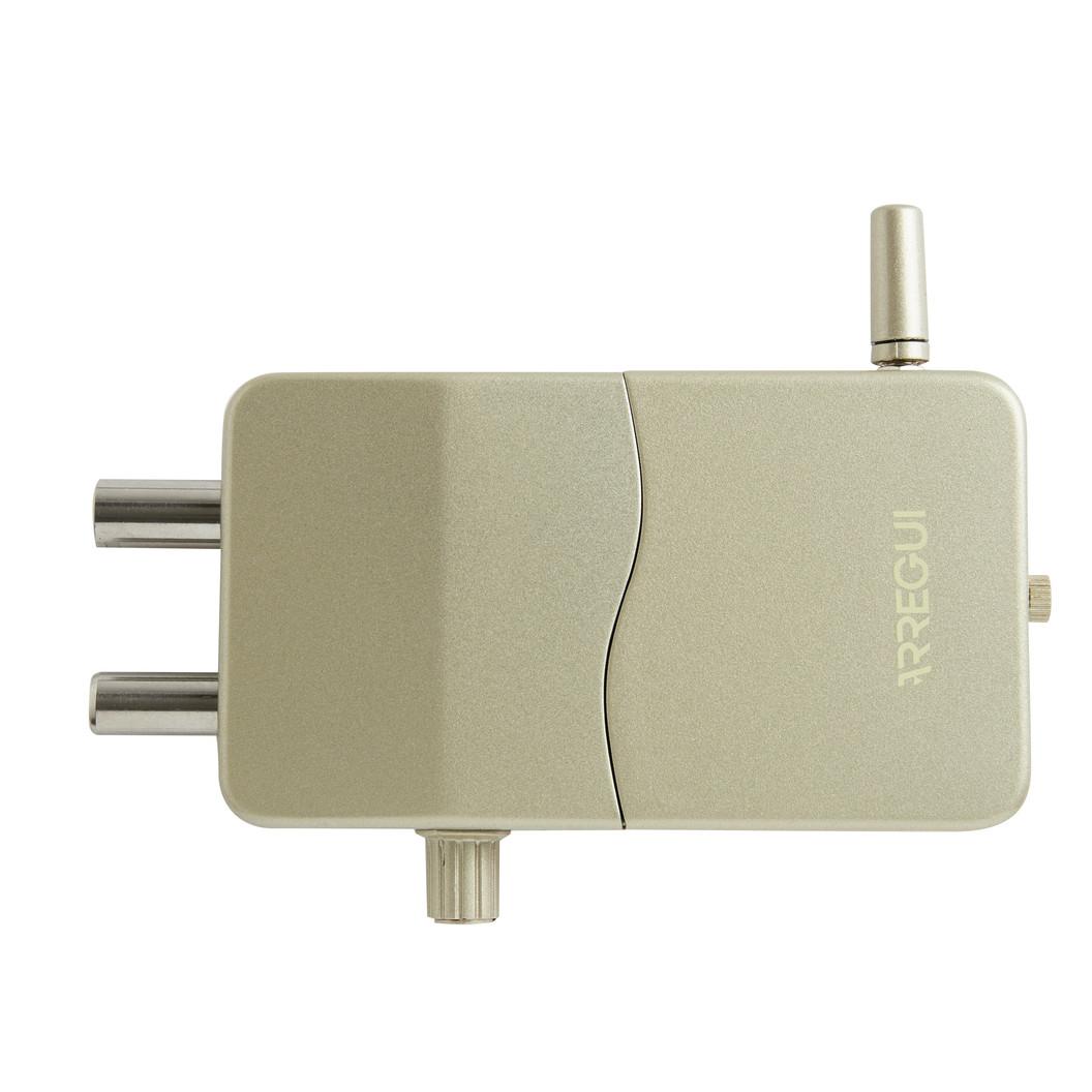 ARREGUI Cerradura de Seguridad Invisible para Puerta con Alarma Sonora | 4 mandos a distancia | Antirrobo, Anti Okupas | Cerradura Electrónica | Cerrojo Inalámbrico Interior