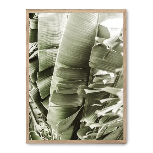 Cuadro details of banana leaves i 30x40cm, Póster impreso en papel de primera calidad de 180gr, montado sobre marco de madera MDF acabado roble., Botánica - Naturaleza - Playantas