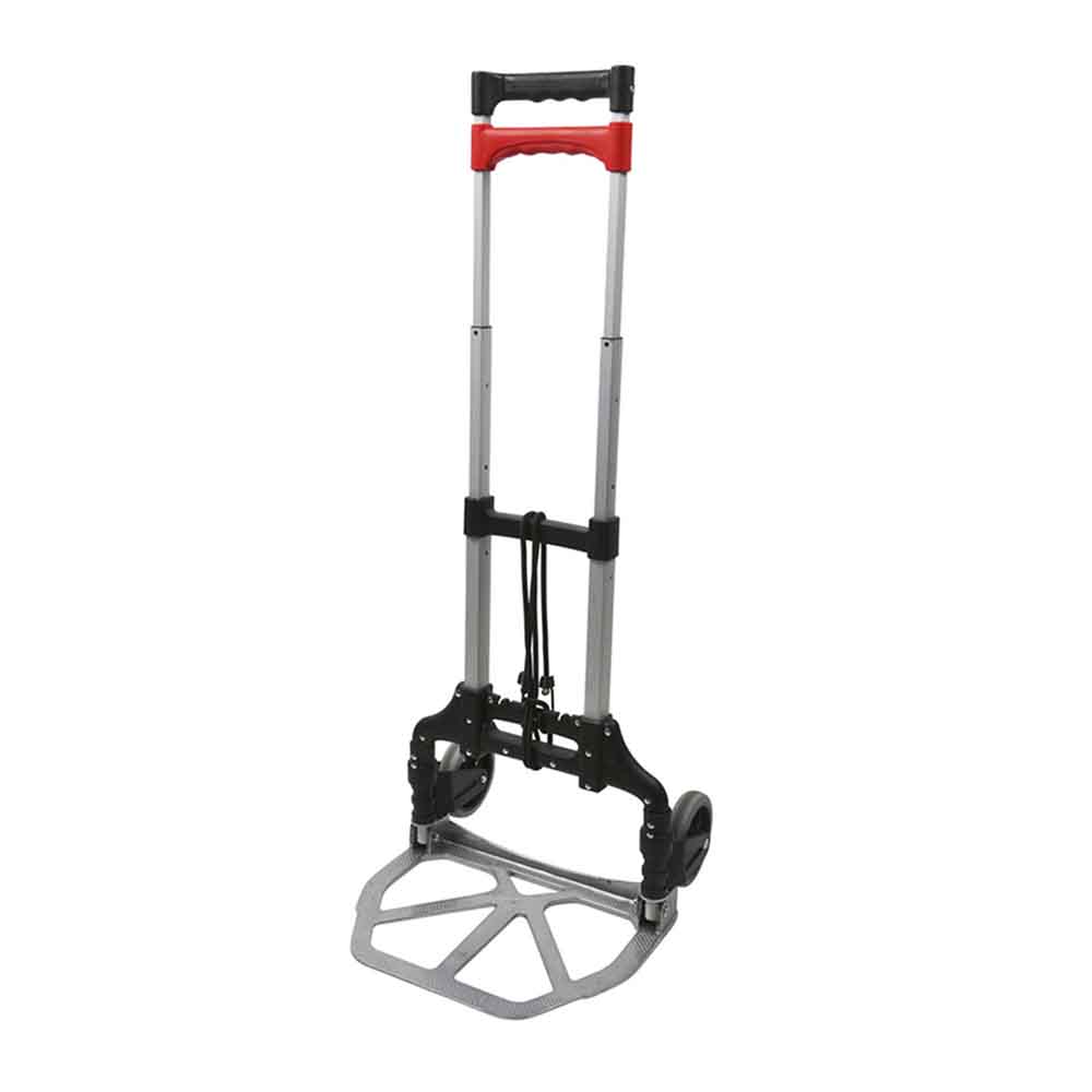Edm Carrito de Transporte Reforzado Plegable Max 60kg - Fácil Transporte y Resistente