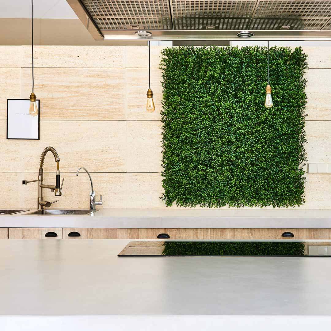 Nortene | Jardín Vertical Boj 100 X 100 Cm Nortene | Decoración De Pared | Diseño Moderno | Perfecto Para Ambientes Modernos Y Naturales