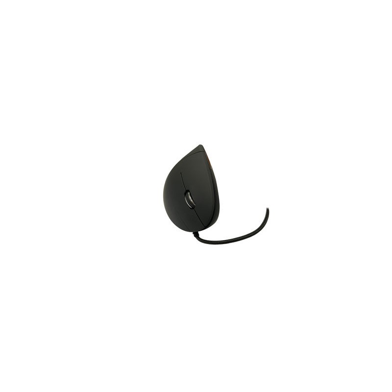 MediaRange - MROS230 ratón Oficina mano derecha USB tipo A Óptico 2400 DPI MROS230