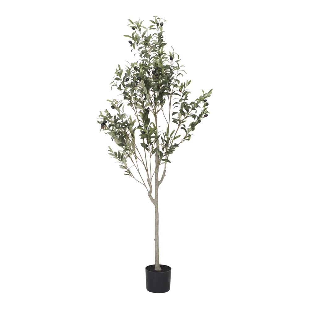 PLANTA ARTIFICIAL OLIVO - MISTERWILS FURNITURE FOR FREE SOULS