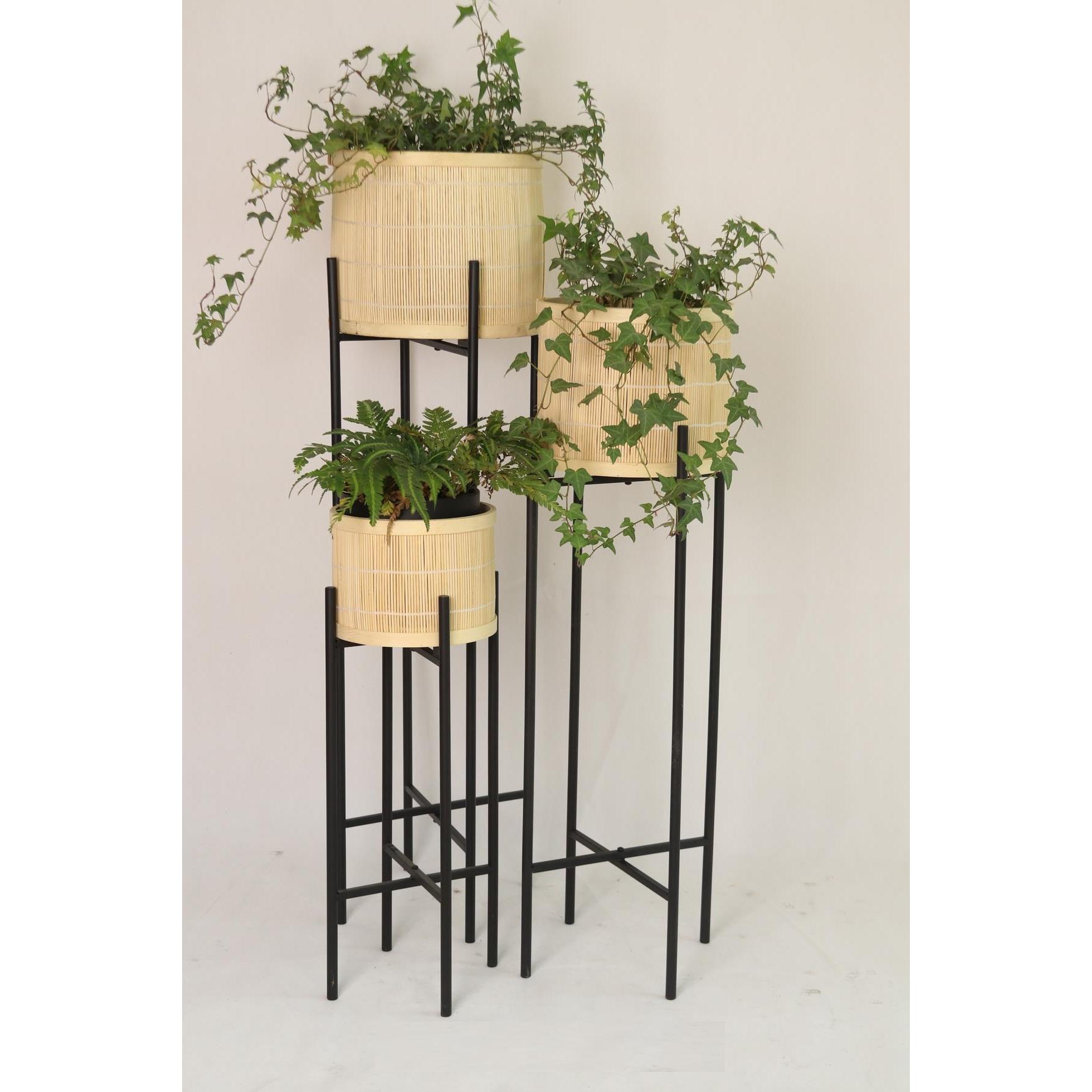 Macetero Set 3 Bambu Metal 31X28X103 El mejor complemento para tu hogar -Fijalo-